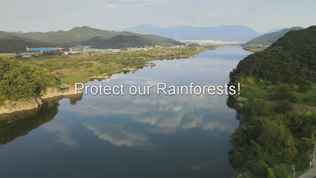 Protect our Rainforests!